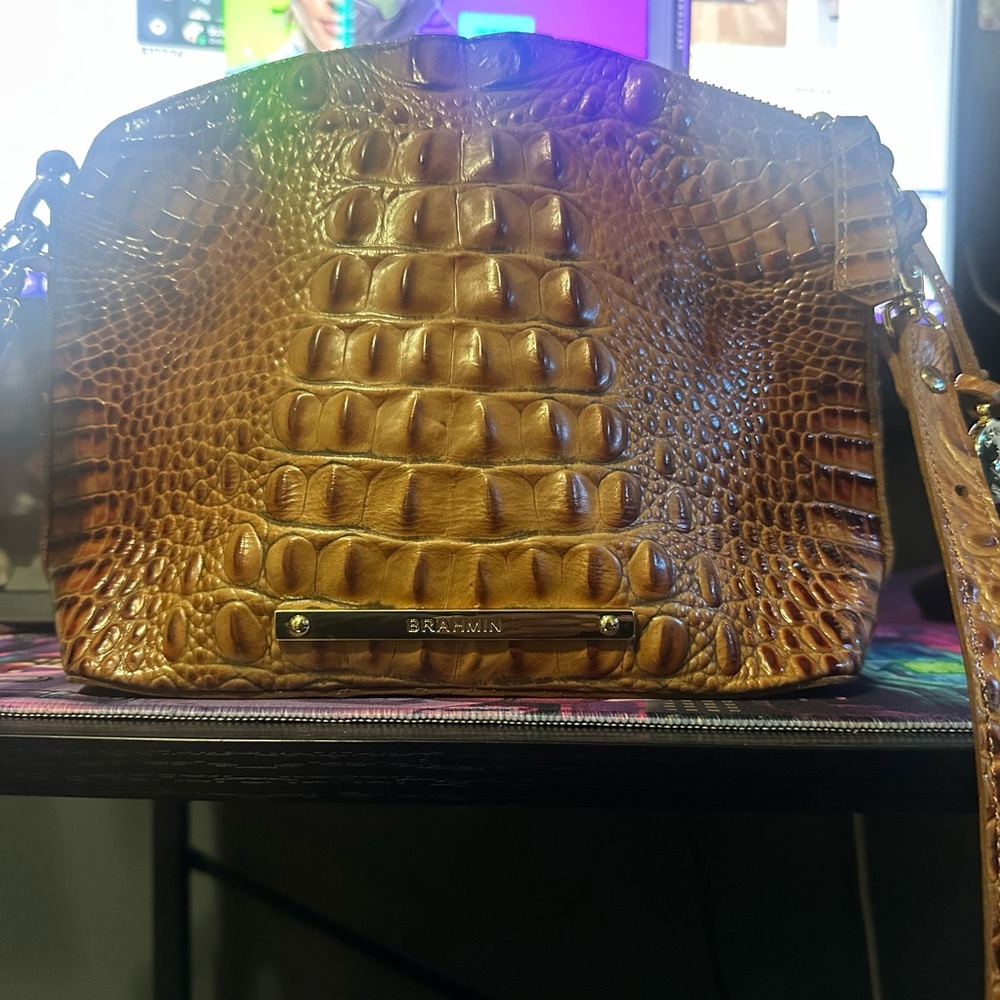 Brahmin purse